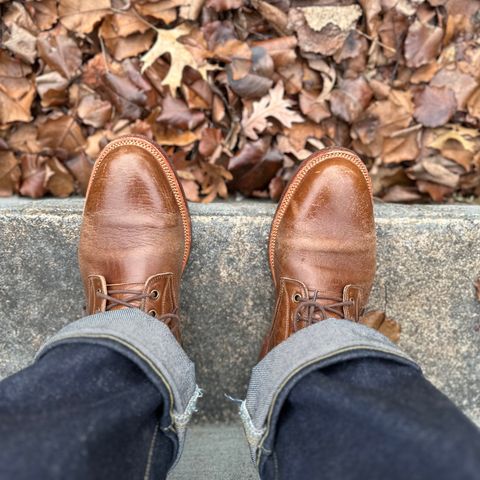 Tahura Altilis in Shinki Cognac Oiled Horsebutt