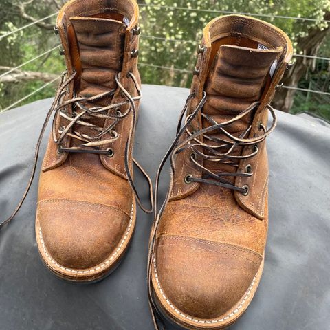 Truman Service Boot in C.F. Stead Coach Rambler