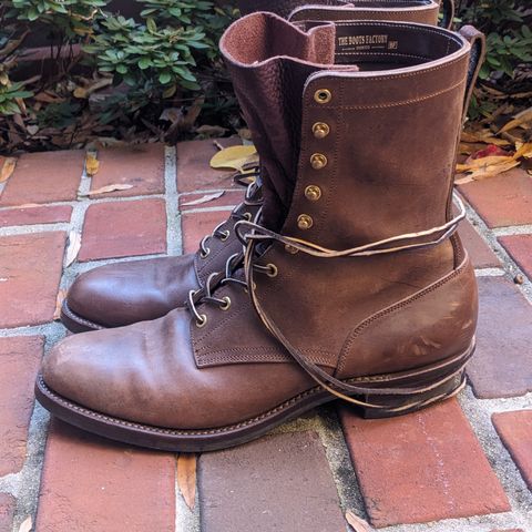 Rolling Dub Trio Griffin 8.5" Plain Toe Boots in Original Brown Horsebutt #1010