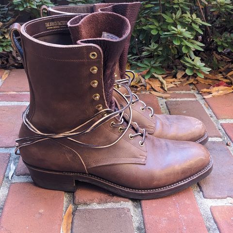Rolling Dub Trio Griffin 8.5" Plain Toe Boots in Original Brown Horsebutt #1010