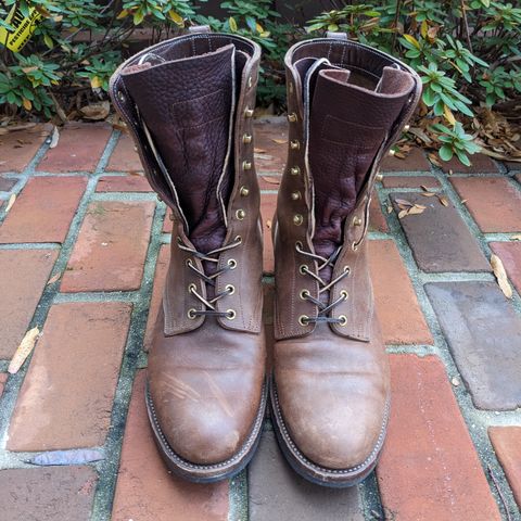 Rolling Dub Trio Griffin 8.5" Plain Toe Boots in Original Brown Horsebutt #1010