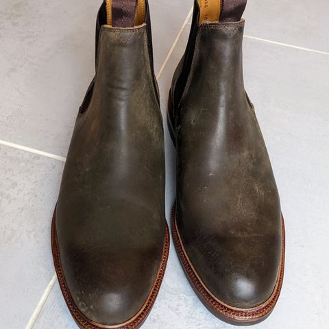 Meermin Chelsea Boot in Caper Green Waxy Shell Cordovan