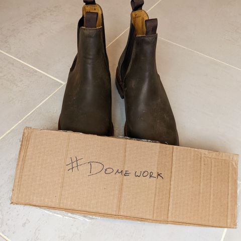 Meermin Chelsea Boot in Caper Green Waxy Shell Cordovan