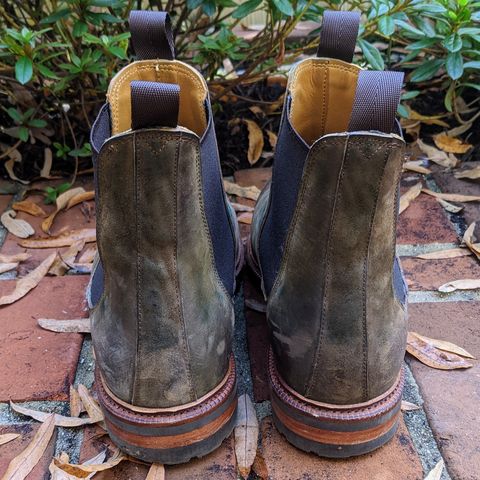 Meermin Chelsea Boot in Caper Green Waxy Shell Cordovan