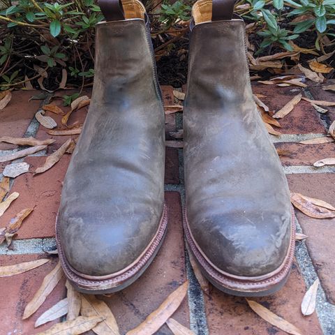 Meermin Chelsea Boot in Caper Green Waxy Shell Cordovan