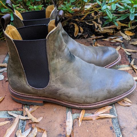 Meermin Chelsea Boot in Caper Green Waxy Shell Cordovan