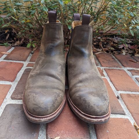 Meermin Chelsea Boot in Caper Green Waxy Shell Cordovan