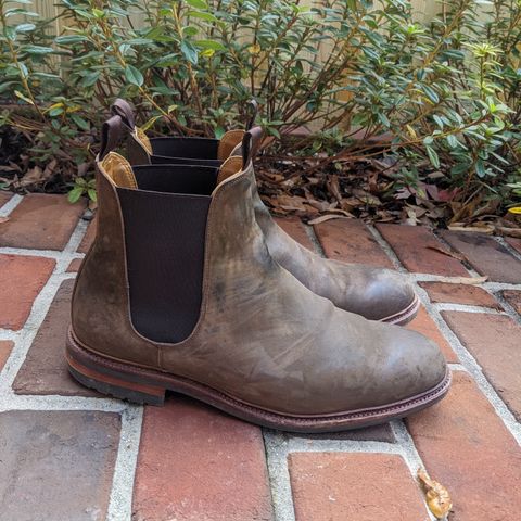 Meermin Chelsea Boot in Caper Green Waxy Shell Cordovan