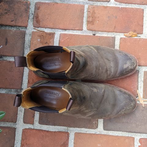 Meermin Chelsea Boot in Caper Green Waxy Shell Cordovan