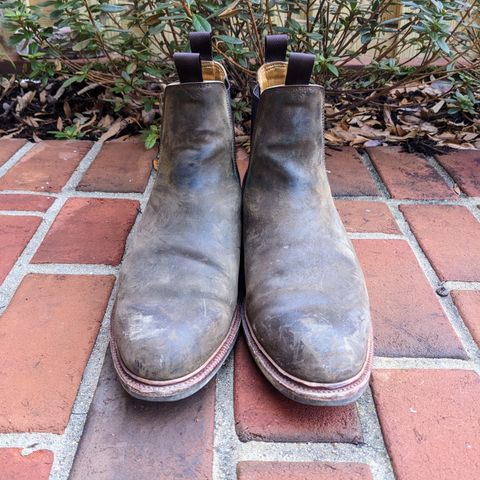 View photo of Meermin Chelsea Boot in Caper Green Waxy Shell Cordovan