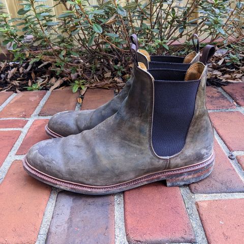 Meermin Chelsea Boot in Caper Green Waxy Shell Cordovan
