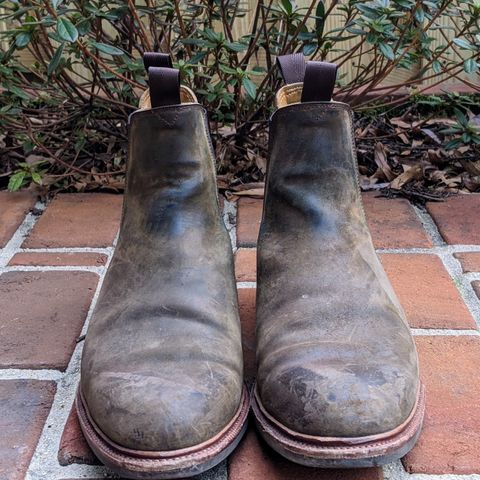 View photo of Meermin Chelsea Boot in Caper Green Waxy Shell Cordovan