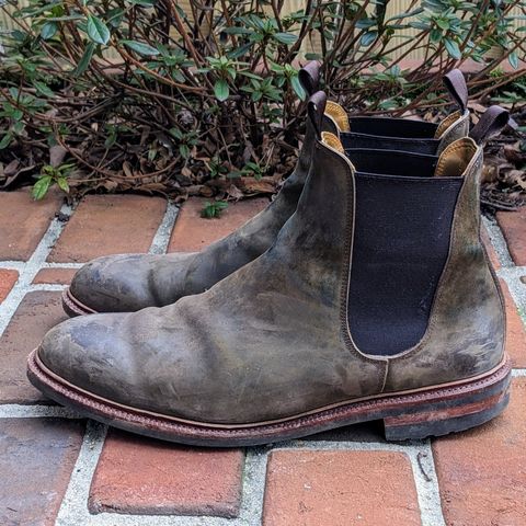 View photo of Meermin Chelsea Boot in Caper Green Waxy Shell Cordovan