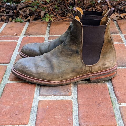 View photo of Meermin Chelsea Boot in Caper Green Waxy Shell Cordovan