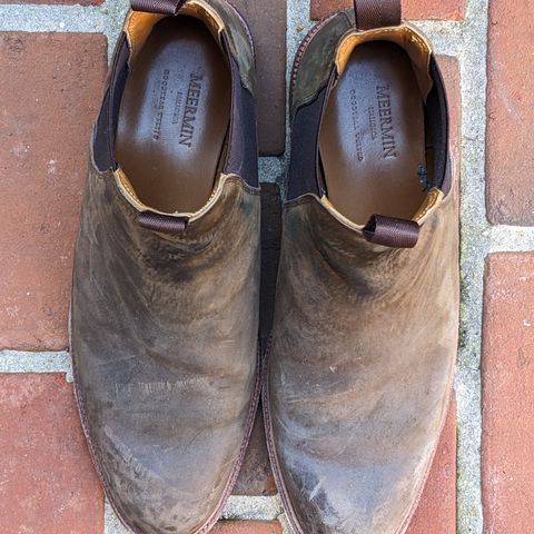 View photo of Meermin Chelsea Boot in Caper Green Waxy Shell Cordovan