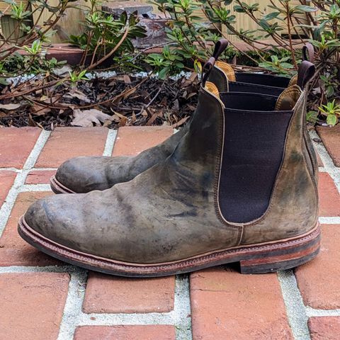 View photo of Meermin Chelsea Boot in Caper Green Waxy Shell Cordovan