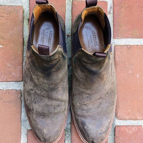 View photo of Meermin Chelsea Boot in Caper Green Waxy Shell Cordovan