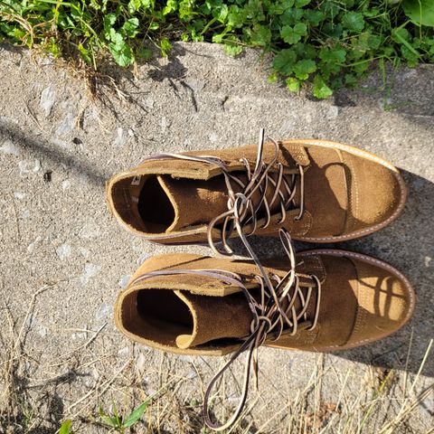 View photo of Truman Service Boot in Tasman Leather Group Coyote Roughout