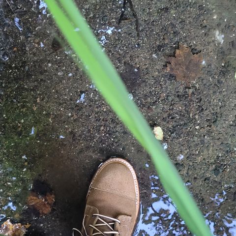 View photo of Truman Service Boot in Tasman Leather Group Coyote Roughout