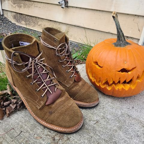 View photo of Truman Service Boot in Tasman Leather Group Coyote Roughout