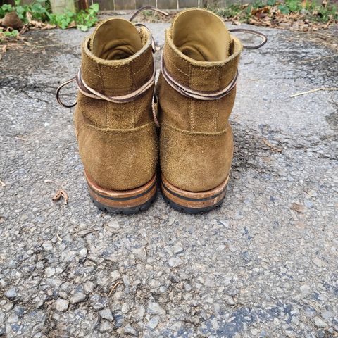 View photo of Truman Service Boot in Tasman Leather Group Coyote Roughout