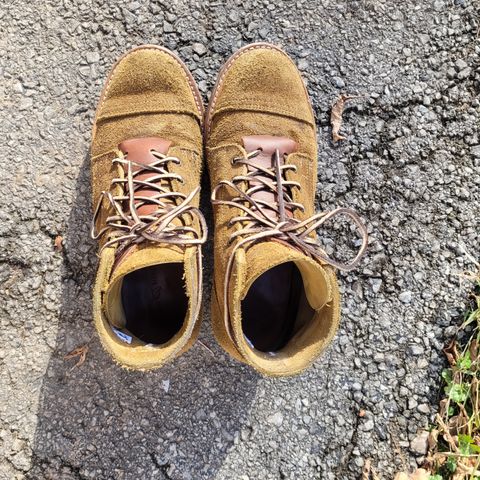 View photo of Truman Service Boot in Tasman Leather Group Coyote Roughout