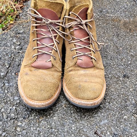 View photo of Truman Service Boot in Tasman Leather Group Coyote Roughout