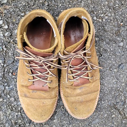 View photo of Truman Service Boot in Tasman Leather Group Coyote Roughout