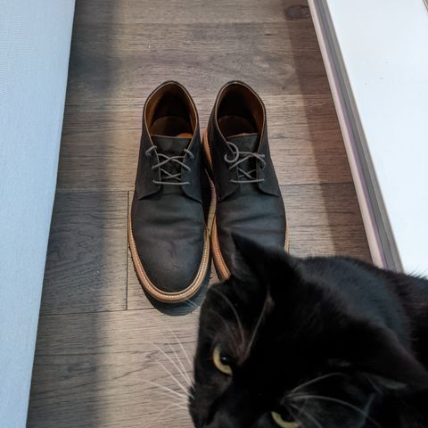 Grant Stone Chukka in C.F. Stead Earth Waxy Commander Suede