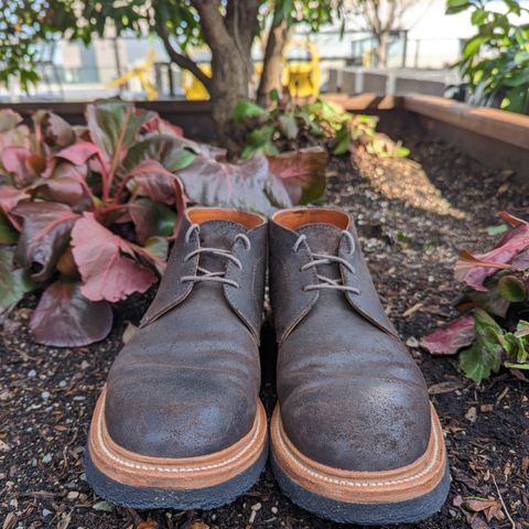 View photo of Grant Stone Chukka in C.F. Stead Earth Waxy Commander Suede