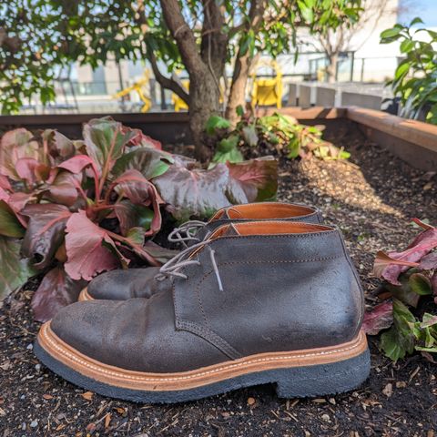 View photo of Grant Stone Chukka in C.F. Stead Earth Waxy Commander Suede