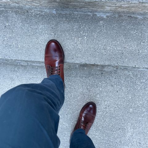 Viberg Service Boot BCT in Horween Color 4 Shell Cordovan