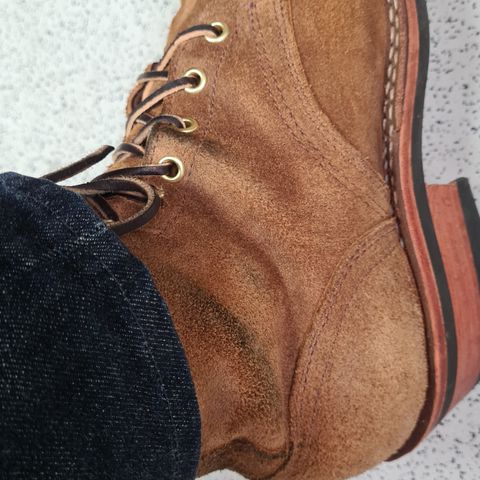 Frank's Wilshire in Seidel Brown Domain Roughout