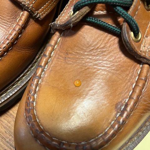 Thorogood 8" Moc Toe in Unknown Leather