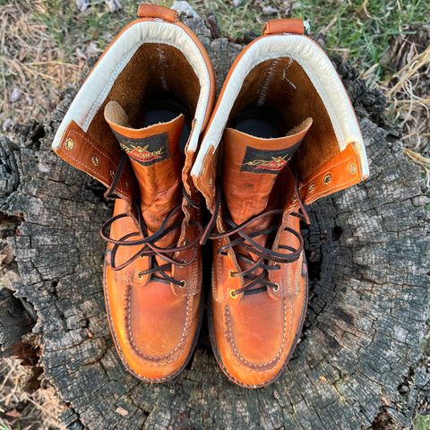 Thorogood 8" Moc Toe in Unknown Leather