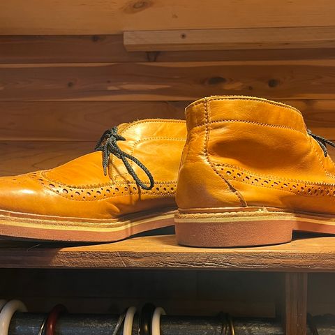 Search result thumbnail of Allen Edmonds Unlisted Model in Unknown Leather