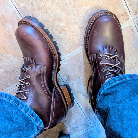 Drew's 8-Inch Logger in Brown Smooth