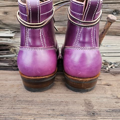 Frank's Square Toe in Maryam Amethyste TPR Horsebutt