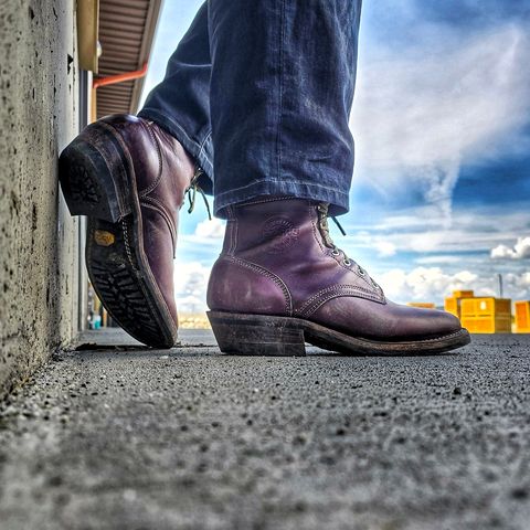 Search result thumbnail of Frank's Boots Square Toe in Maryam Amethyste TPR Horsebutt