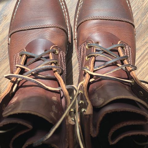 Nicks MTO in Italian Brown Cypress