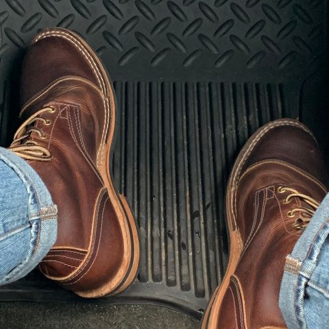 Nicks MTO in Italian Brown Cypress