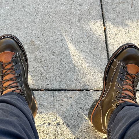 Willie's Handmade Boots Pioneer Lace To Toe in Maryam Olive Horsebutt