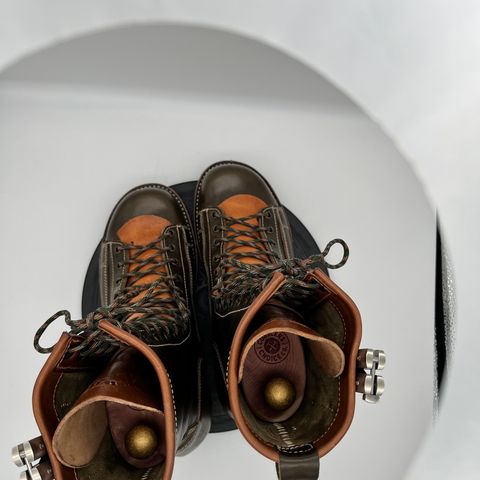 Willie's Handmade Boots Pioneer Lace To Toe in Maryam Olive Horsebutt