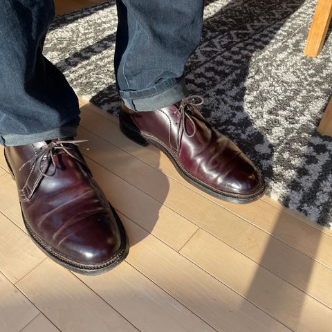 Search result thumbnail of Alden 2-Eyelet Chukka in Horween Color 8 Shell Cordovan