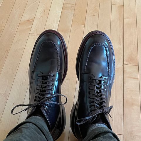 Search result thumbnail of Alden Indy Boot in Horween Color 8 Shell Cordovan