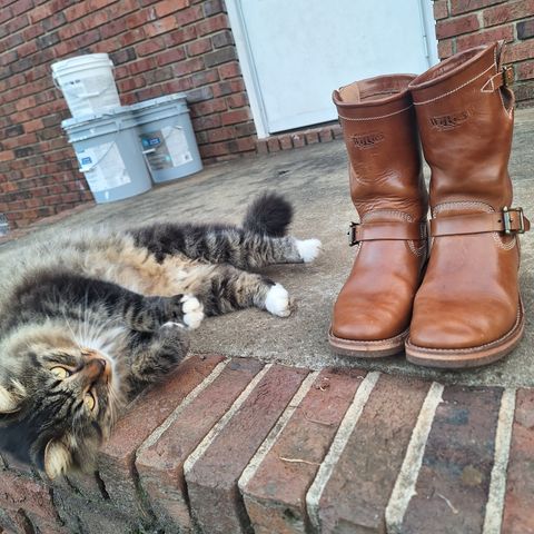 Willie's Handmade Boots Engineer in Maryam Natural Horsebutt