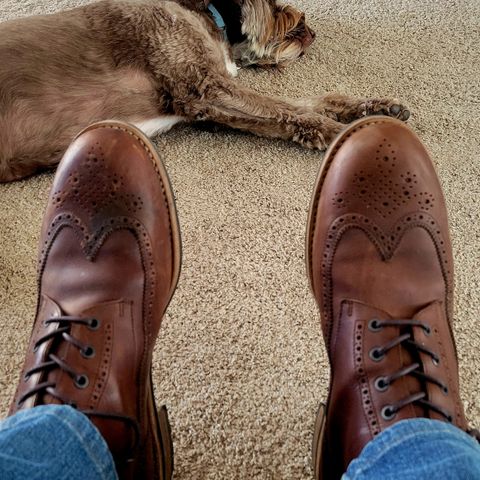 Mark Albert Countrty Boot in C.F. Stead Dark Snuff Regency Calf