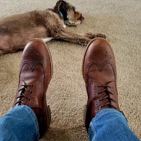 Mark Albert Countrty Boot in C.F. Stead Dark Snuff Regency Calf