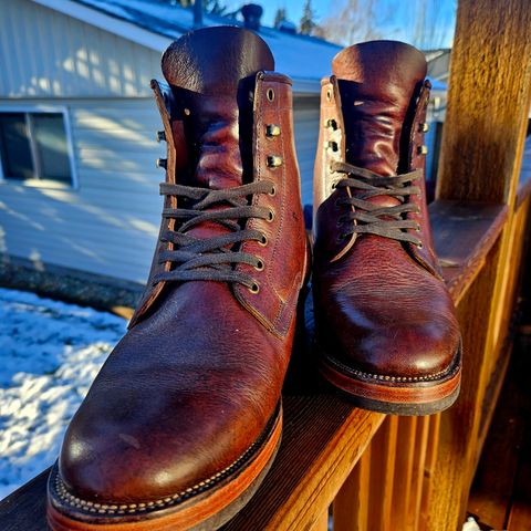 Tahura Captoelari Plain Toe in Badalassi Carlo Dark Brown Nemesis