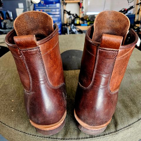 Tahura Captoelari Plain Toe in Badalassi Carlo Dark Brown Nemesis